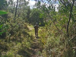 2024-10-27 MISSÃO ROSA